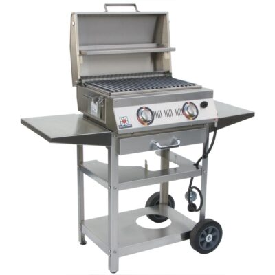 Solaire AllAbout 2-Burner Infrared Propane Gas Grill